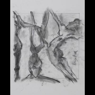 La brune, la blonde, la rousse, (étude1)