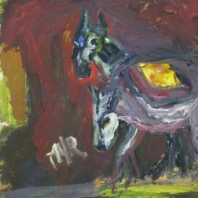 Le cheval qui regarde la mule